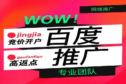 SEM服务案例：助力企业拓展海外市场